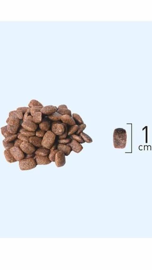 Natura Adult Düşük Tahıllı Düşük Tahıllı Tavuk ve Narlı Kedi Maması 8 kg + 2 kg Armağan