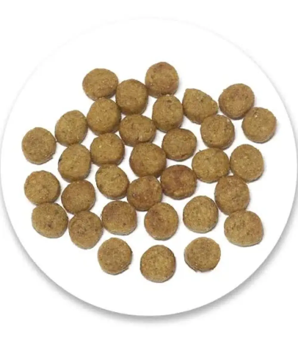 Nature's Protection Indoor Düşük Tahıllı Kümes Hayvanlı Yetişkin Kedi Maması 2 kg