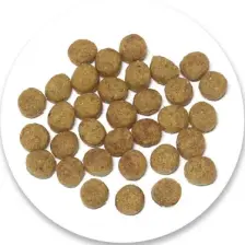 Nature's Protection Indoor Düşük Tahıllı Kümes Hayvanlı Yetişkin Kedi Maması 2 kg