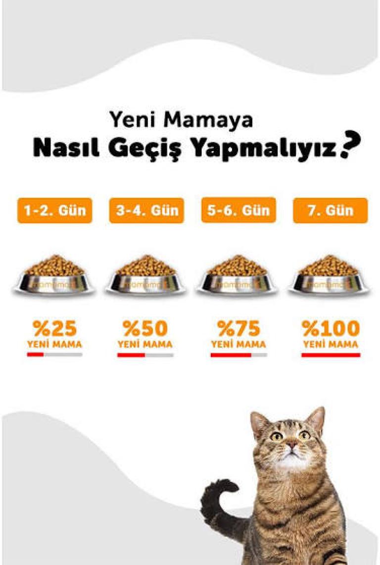 La Vital  Sensitive Somonlu Kedi Maması 12Kg