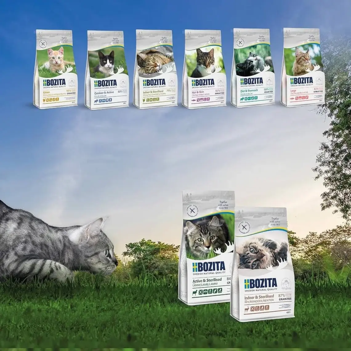 Bozita Sensitive Diet&stomach Tahılsız Kedi Maması 10 kg