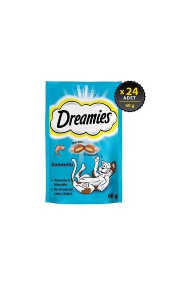 Dreamies Somonlu Kedi Ödül Maması 60 gr x 24 Adet