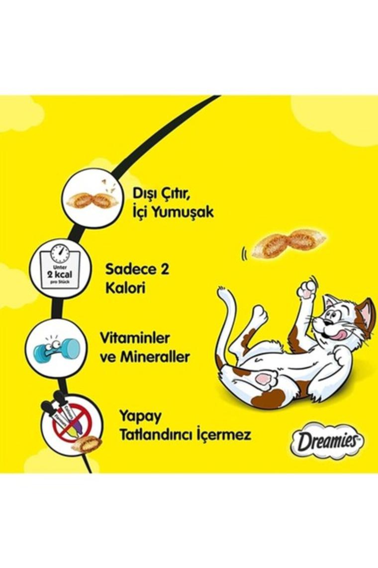 Dreamies Somonlu Kedi Ödül Maması 60 gr x 24 Adet