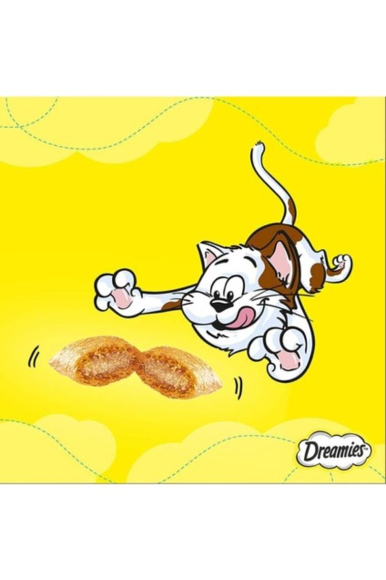 Dreamies Somonlu Kedi Ödül Maması 60 gr x 24 Adet