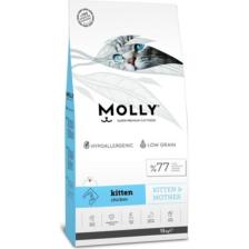 Molly Kitten 15 kg Yavru Kuru Kedi Maması