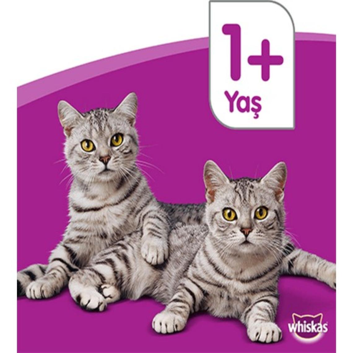 Whiskas Ton Balıklı ve Sebzeli 1.4 kg Yetişkin Kuru Kedi Maması