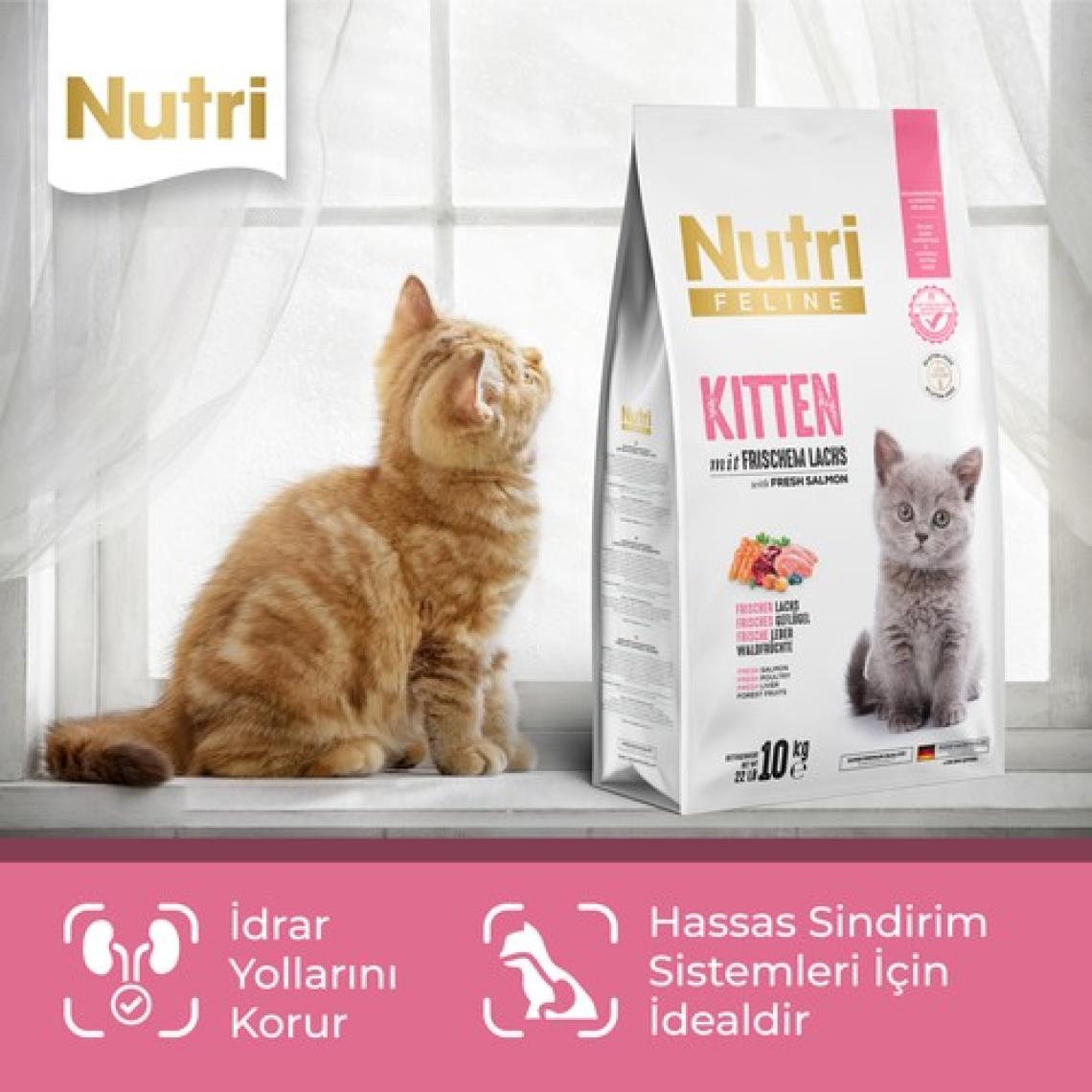 Nutri Feline Somonlu Yavru Kedi Maması 10 kg