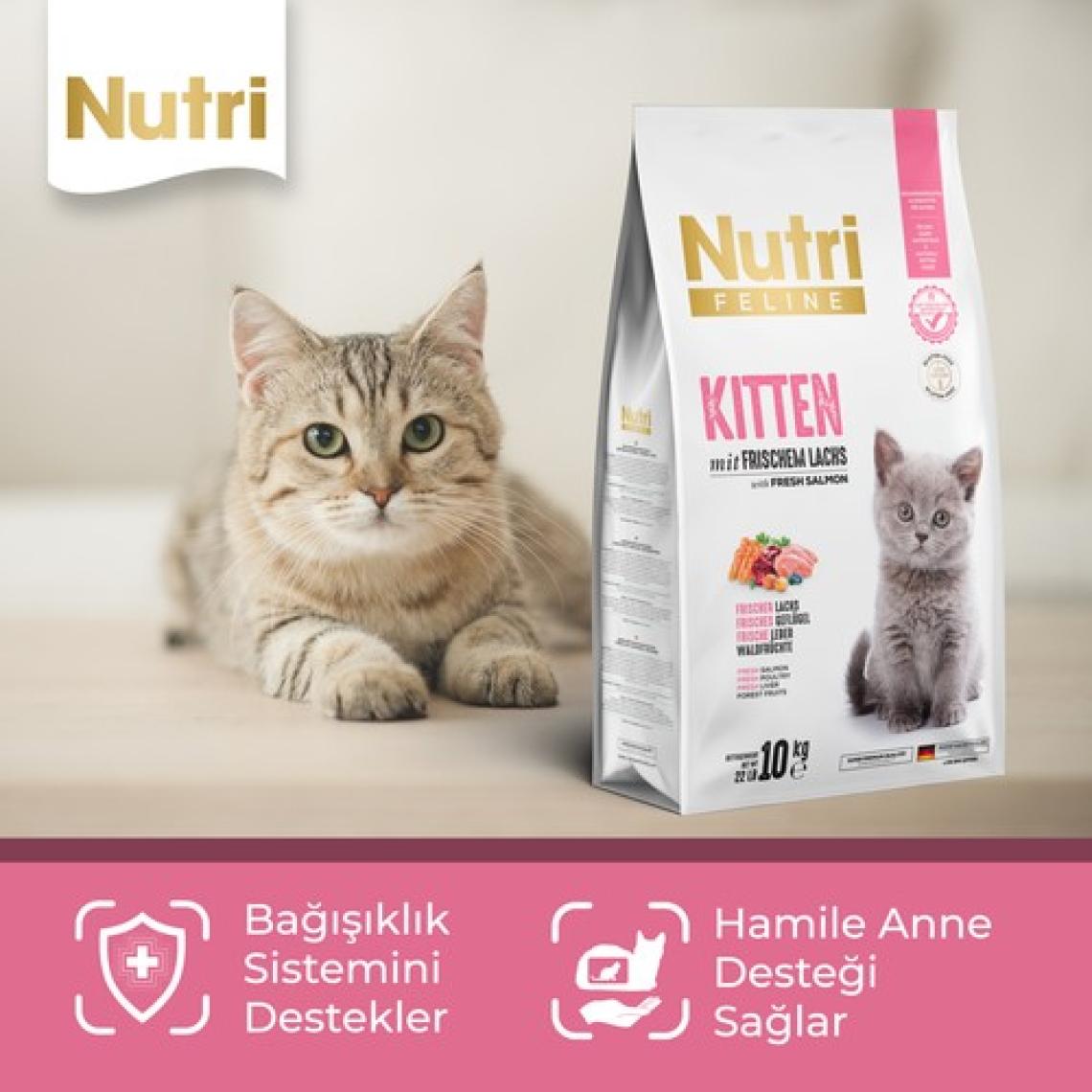 Nutri Feline Somonlu Yavru Kedi Maması 10 kg