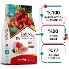 Carni Life Cranberry Sığır Eti ve Erikli Yetişkin Kedi Maması 10 kg