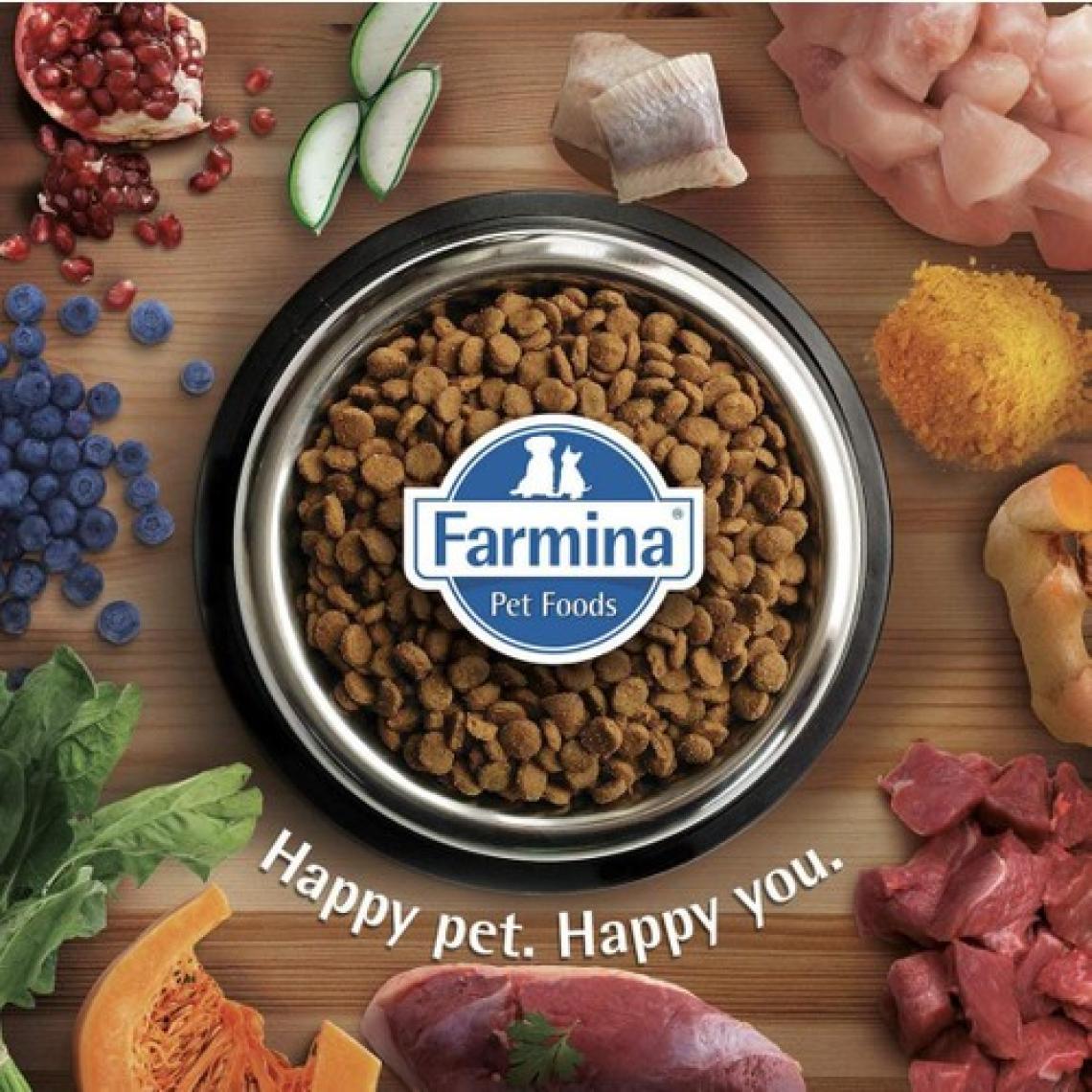 Matisse Kitten Kuru 1,5 Kg Yavru Kedi Maması