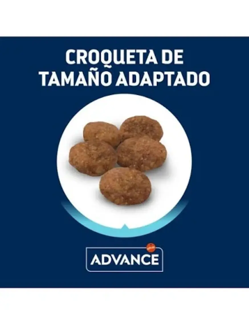 Advance Somon Balıklı Yetişkin Kuru Kedi Maması 3 Kg
