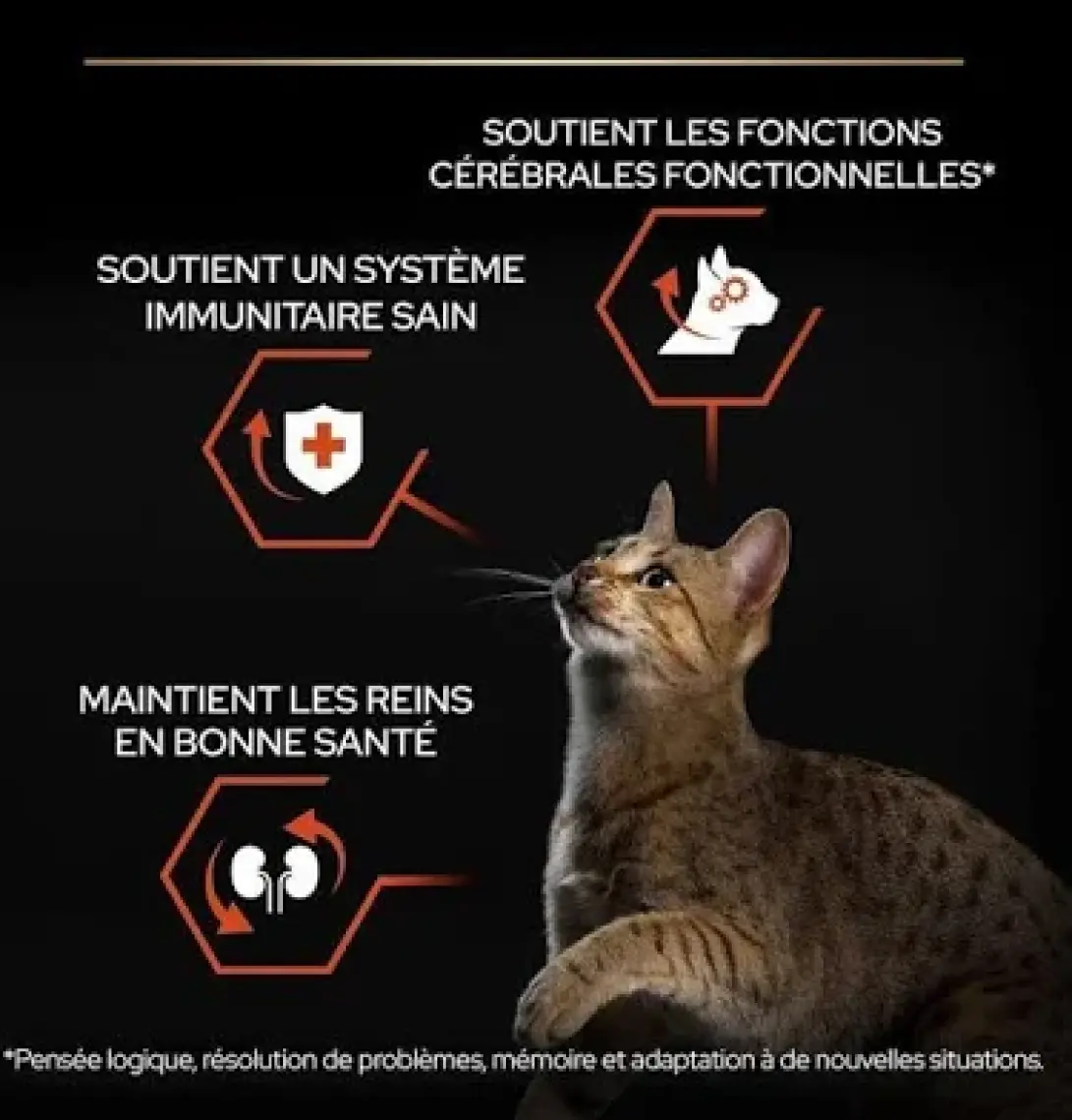 Pro Plan Somon ve Pirinçli Yetişkin Kedi Maması 10kg