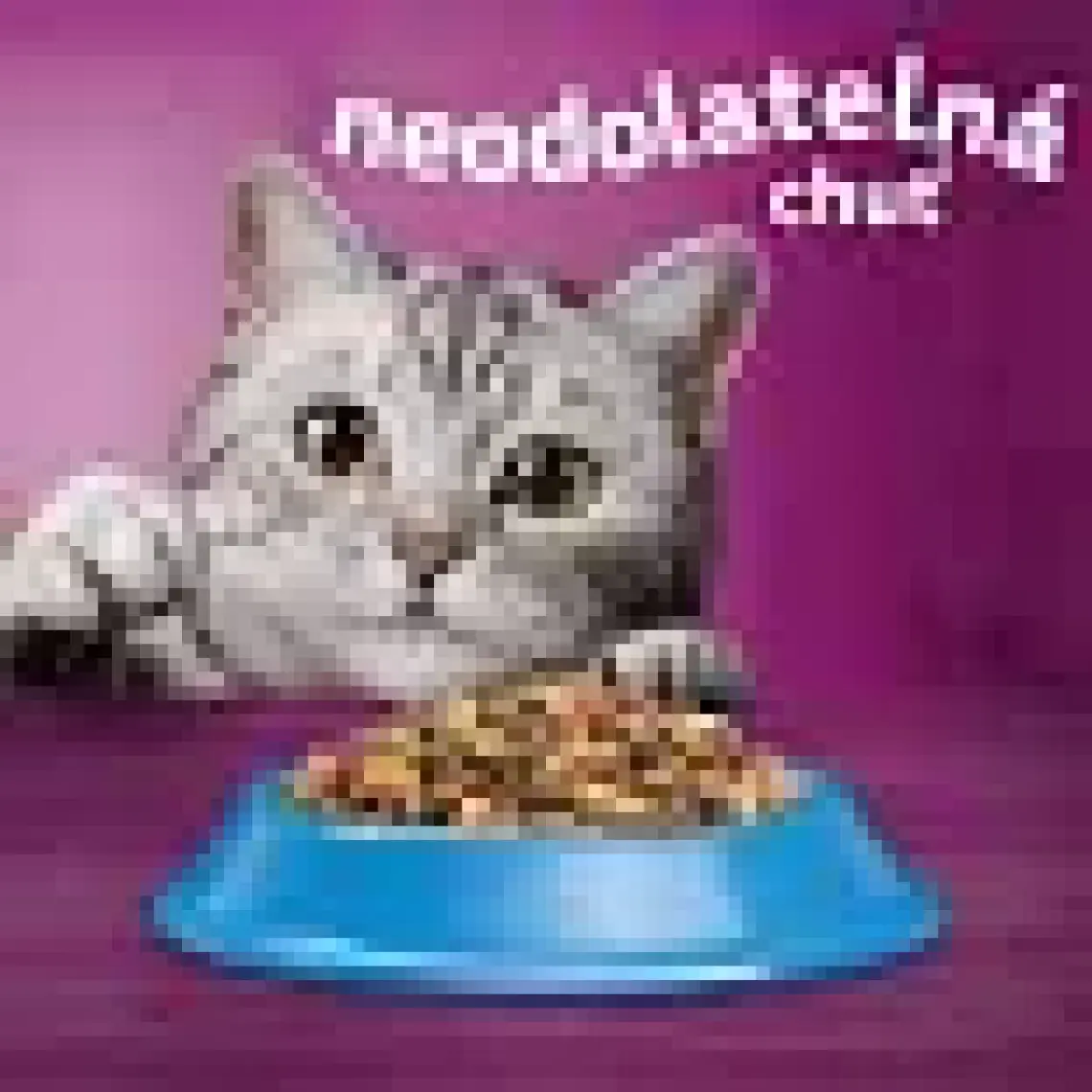Whiskas Ton Balıklı ve Sebzeli Kuru Kedi Maması 1,4 Kg