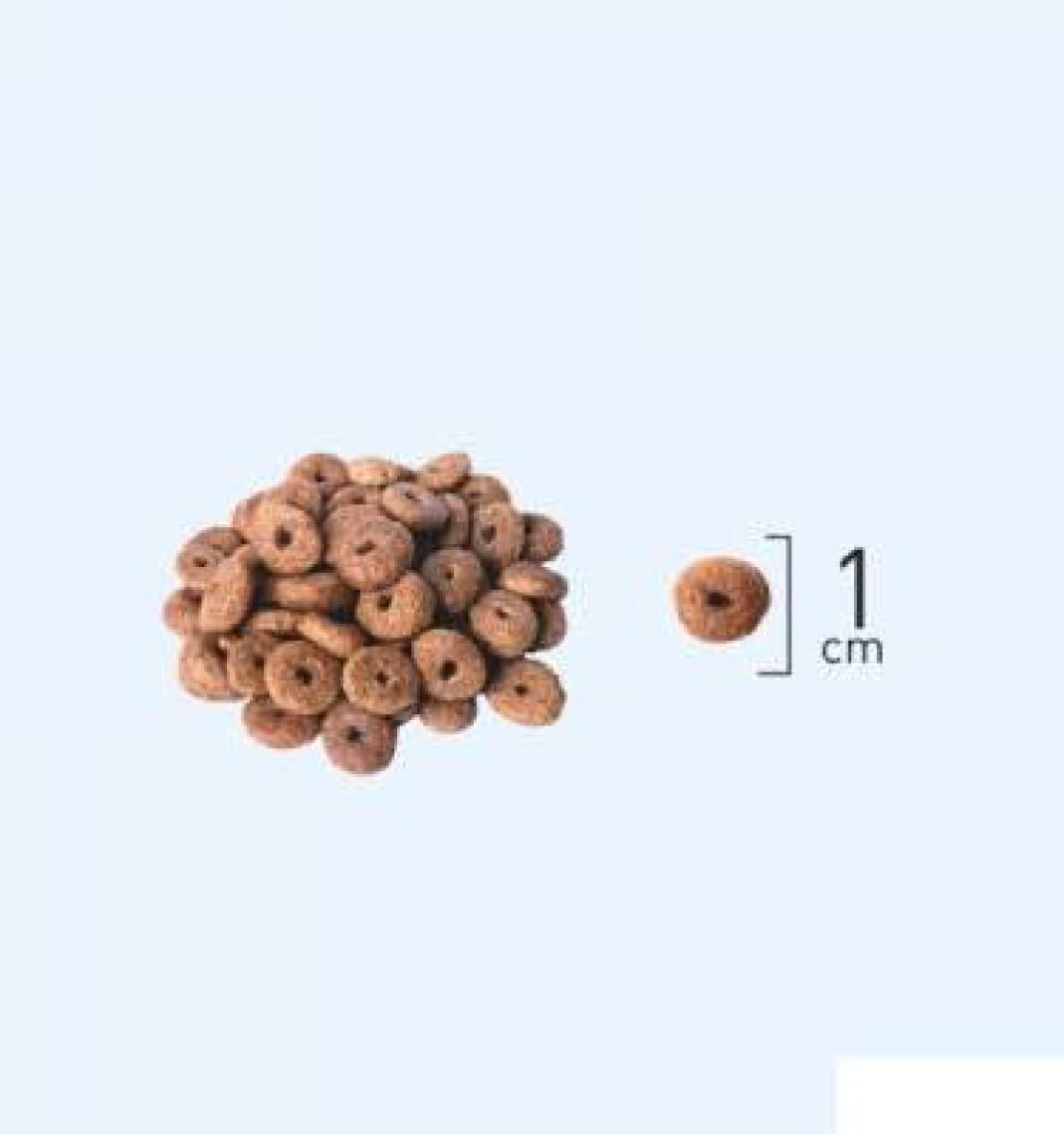 Natura Adult Düşük Tahıllı Kuzu Etli ve Yaban Mersinli Yetişkin Kedi Maması 2.25 kg