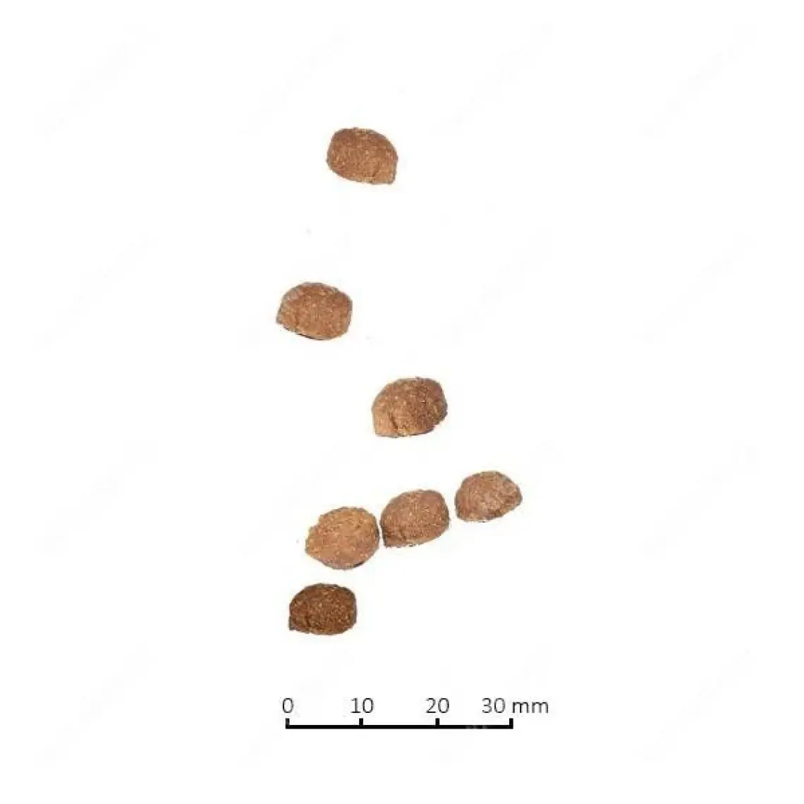 Nd Ocean Düşük Tahıllı Balıklı Portakallı Kedi Maması 10 Kg