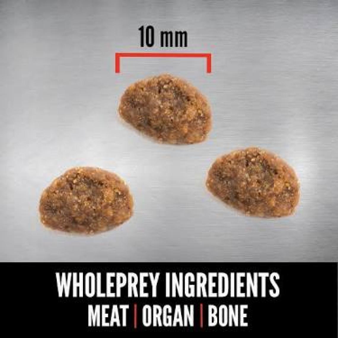 Orijen Kitten Tahılsız Yavru ve Yetişkin Kedi Maması 17 Kg