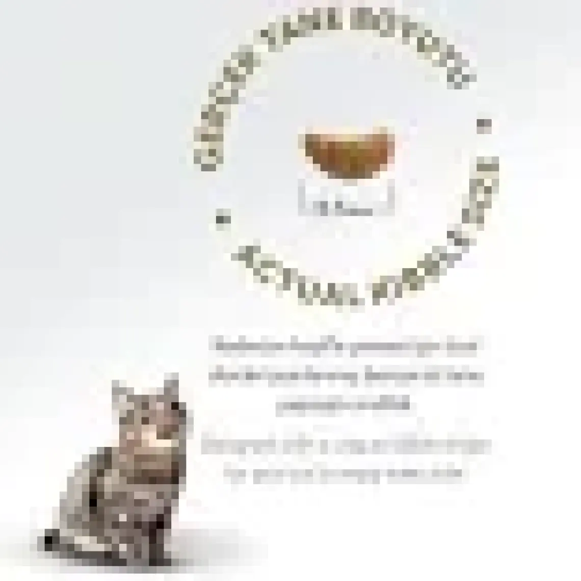 Felicia 12 Kg Kuzulu Az Tahıllı Yetişkin Kedi Maması HypoAllergen