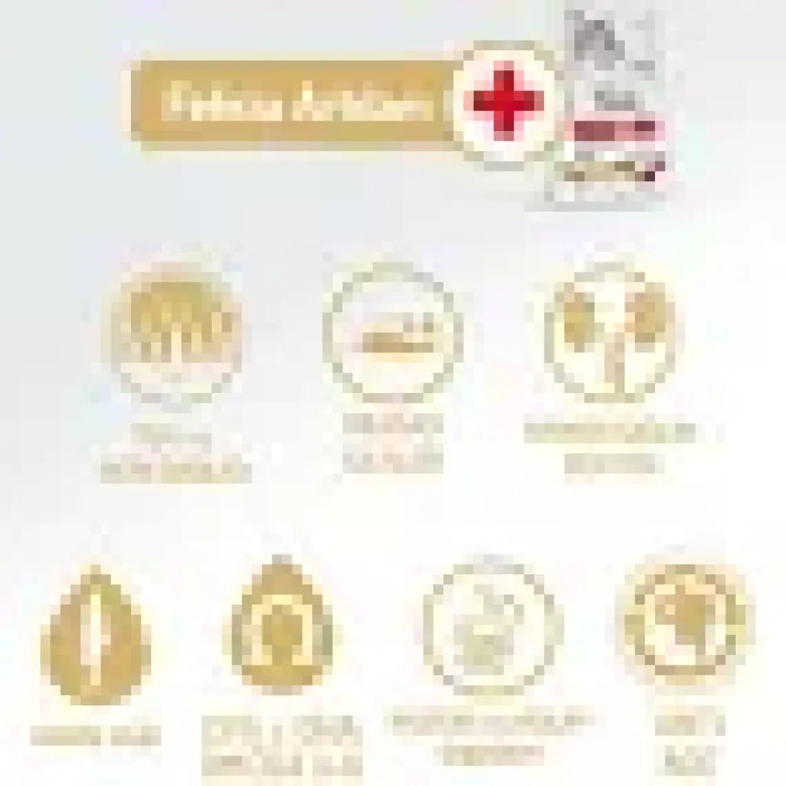 Felicia 12 Kg Kuzulu Az Tahıllı Yetişkin Kedi Maması HypoAllergen