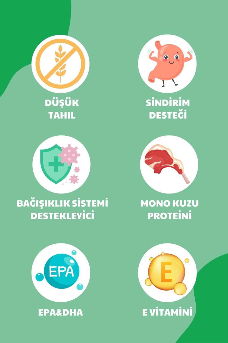 Petline Süper Premium Hypoallergenic - Kuzu Etli Hypoallergenic Yetişkin Kedi Maması 1,5kg