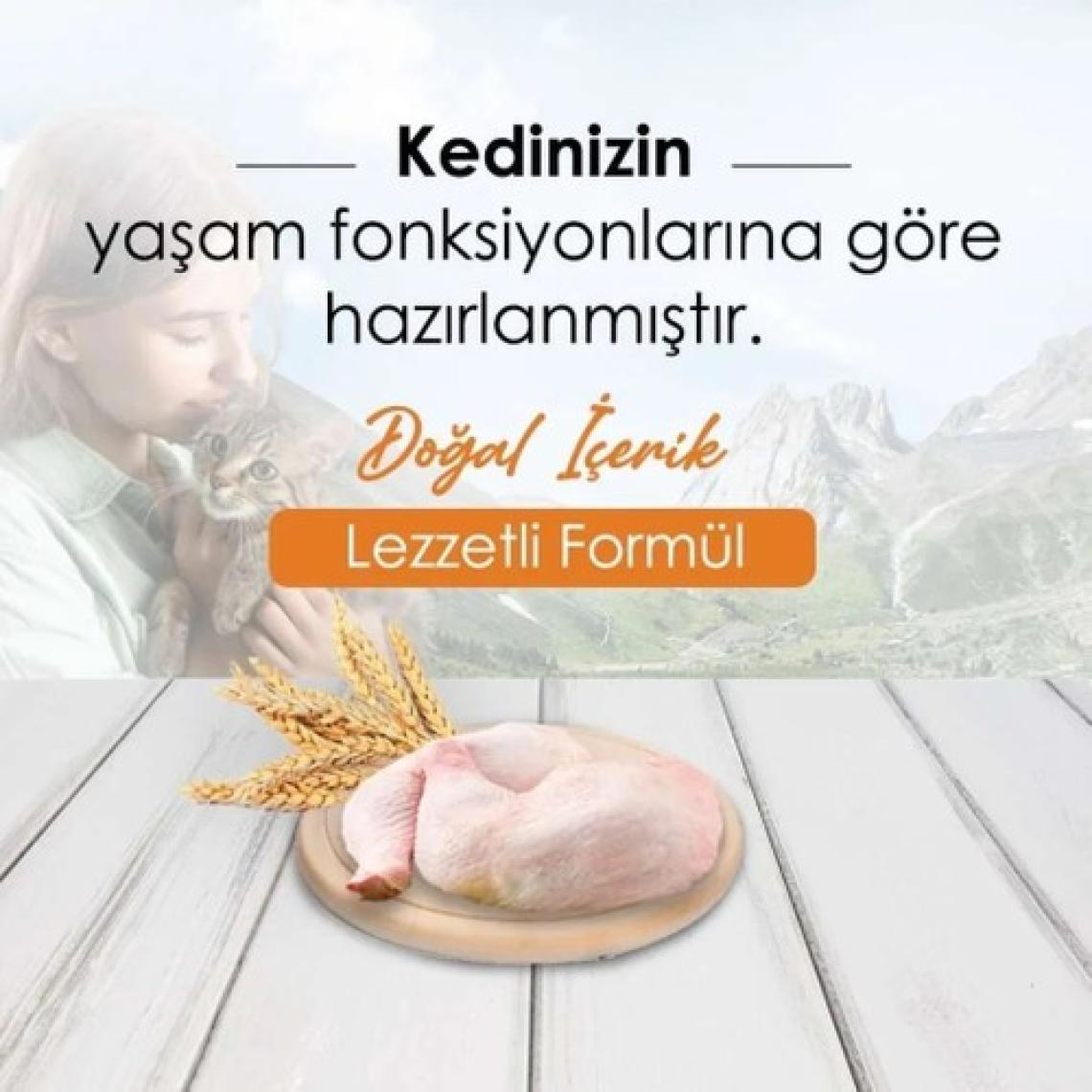 Newcat Tavuklu Yetişkin Kedi Maması 10 kg