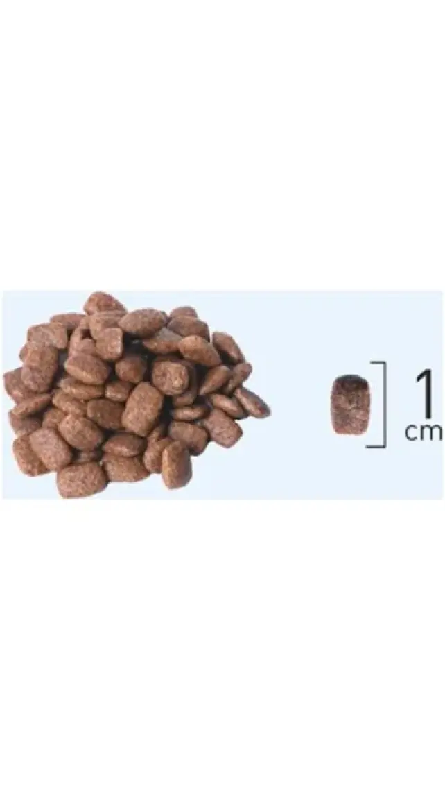Natura Low Grain Düşük Tahıllı Tavuklu Narlı Yetişkin Kedi Maması 2,25 kg