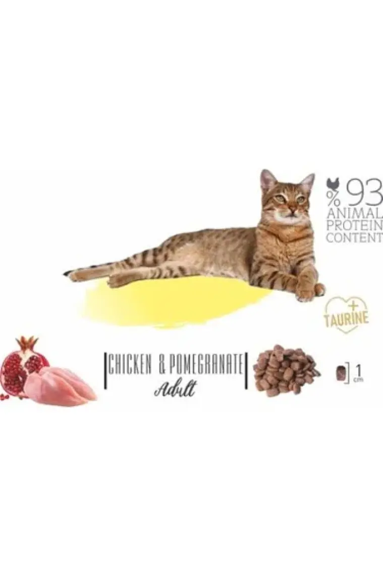 Natura Low Grain Düşük Tahıllı Tavuklu Narlı Yetişkin Kedi Maması 2,25 kg