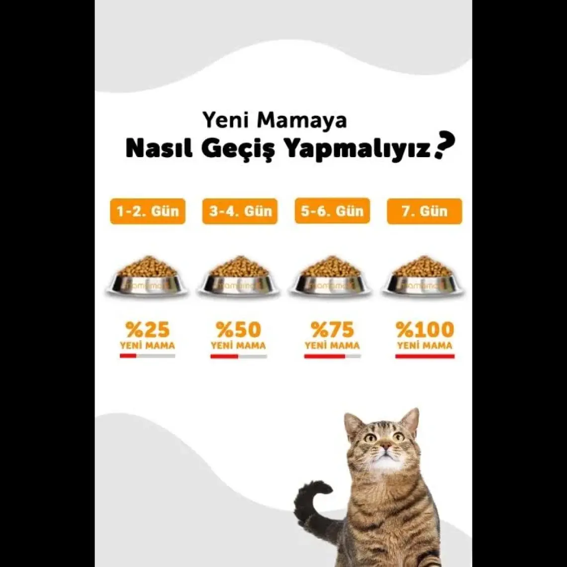 La Vital  Kuzu Etli Kisirlastirilmis Kedi Mamasi 12 kg