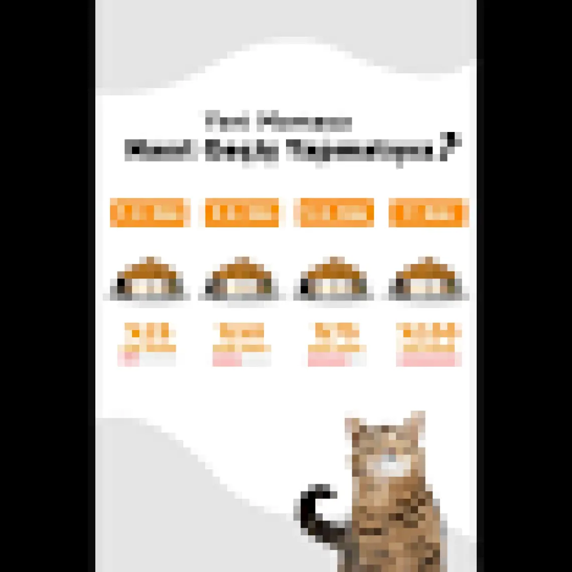La Vital  Kuzu Etli Kisirlastirilmis Kedi Mamasi 12 kg
