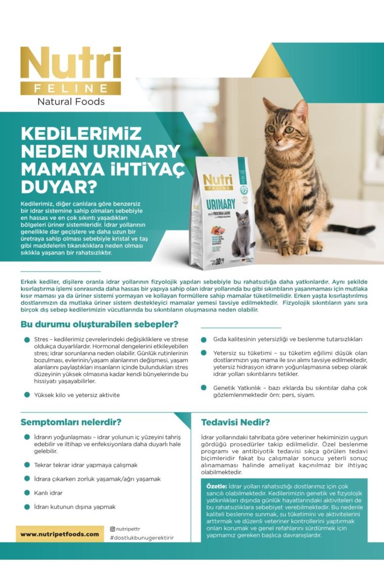 Nutri Feline Adult Urinary Idrar Sağlığı Somonlu Yetişkin Kedi Maması 10 kg