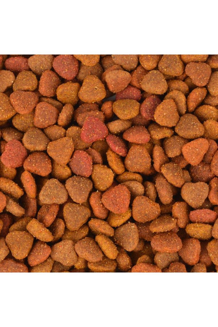 Jungle Colormix Tavuklu 15 kg Yetişkin Kedi Maması