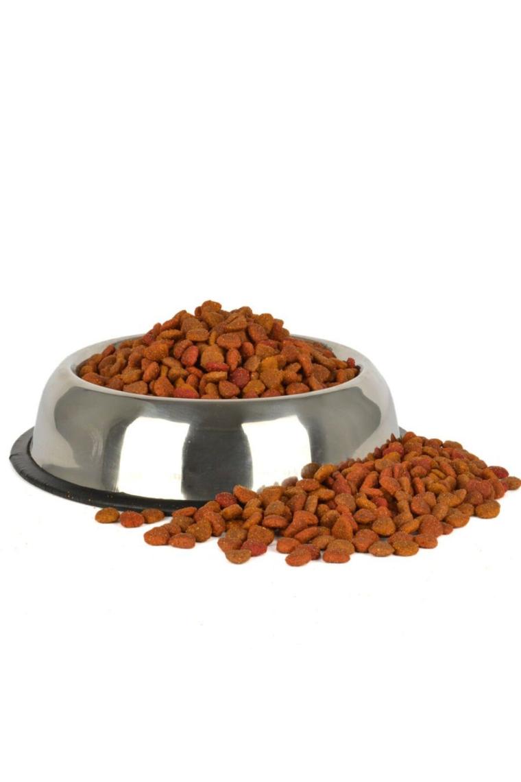 Jungle Colormix Tavuklu 15 kg Yetişkin Kedi Maması