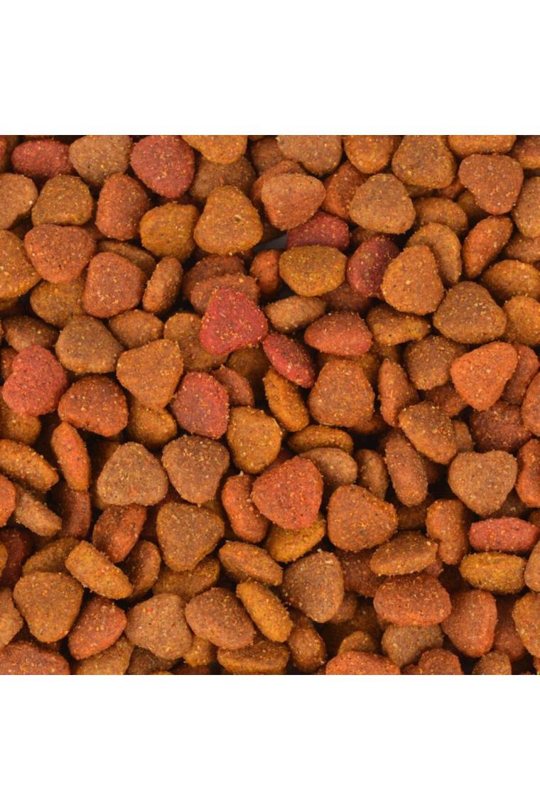Jungle Colormix Tavuklu 15 kg Yetişkin Kedi Maması