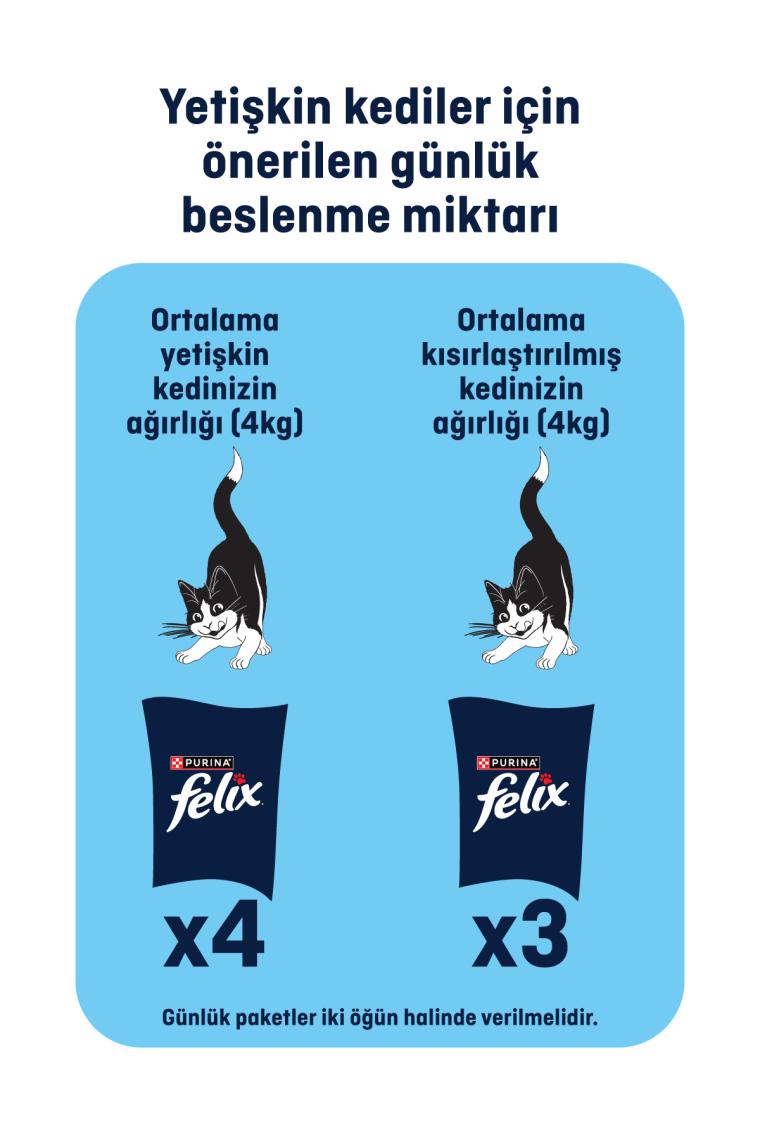 Felix Sığır ve Tavuk Etli 7.5 kg