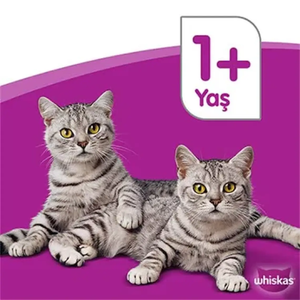 Pouch Pure Delight Jöle Içerisinde Tavuklu Ve Somonlu Yetişkin Konserve Kedi Maması 4 Adet 8