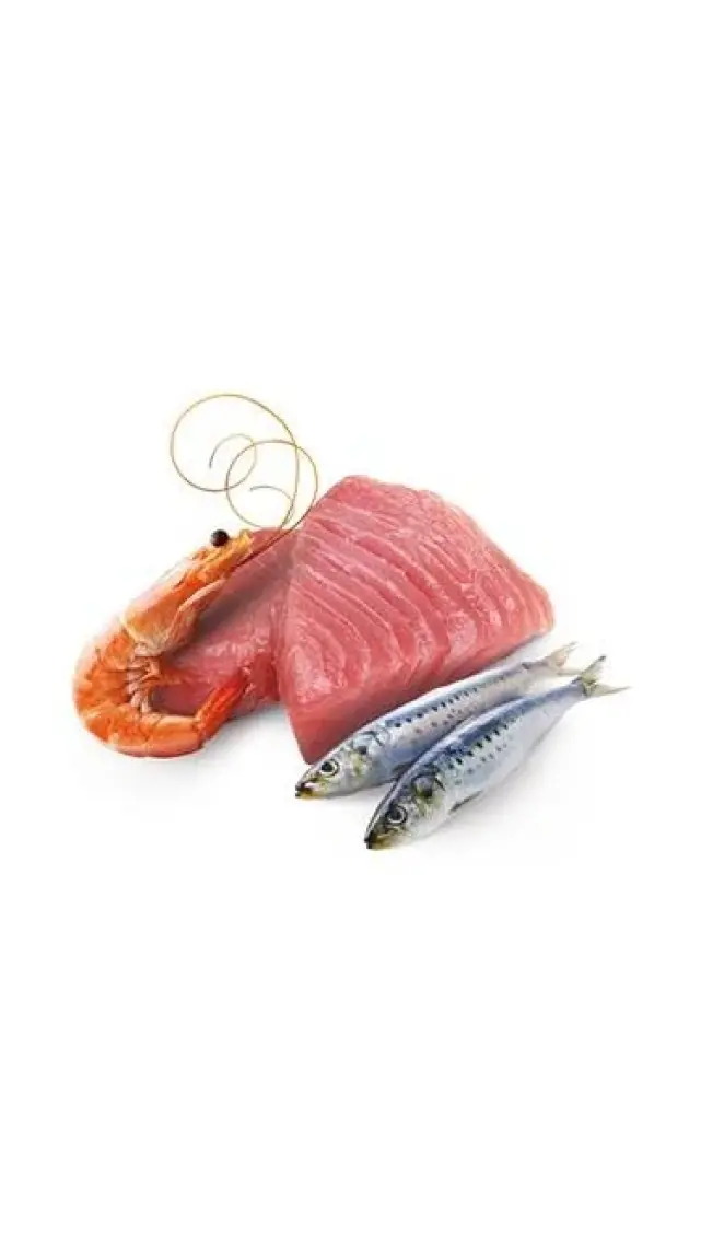 N&D Ocean Levrek,Mürekkep Balığı,Karidesli Kedi Konservesi 80 gr