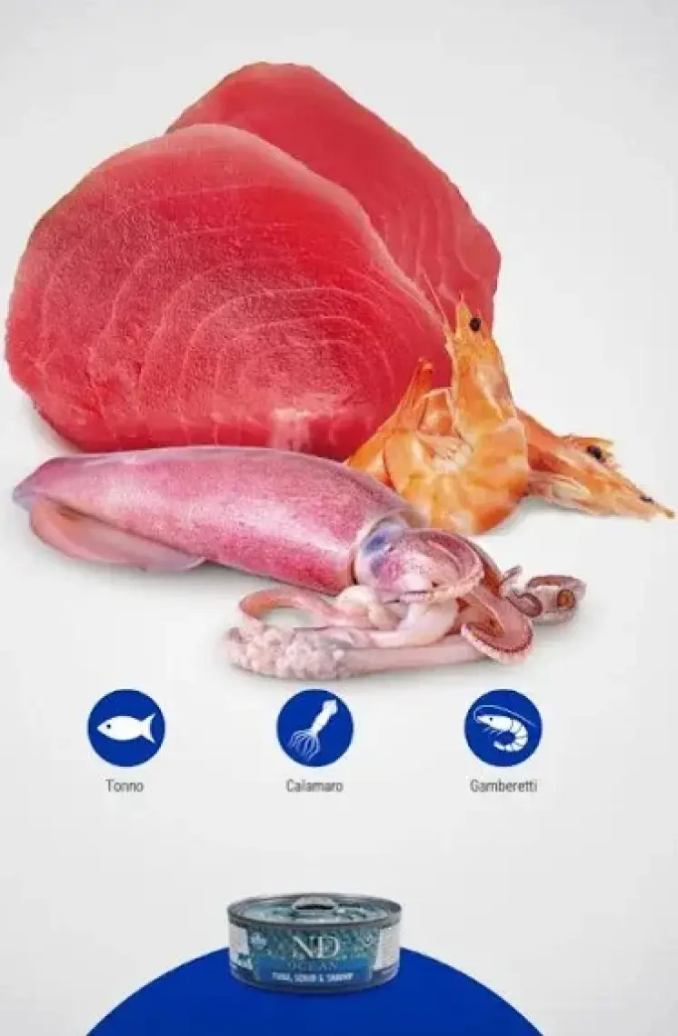 N&D Ocean Levrek,Mürekkep Balığı,Karidesli Kedi Konservesi 80 gr