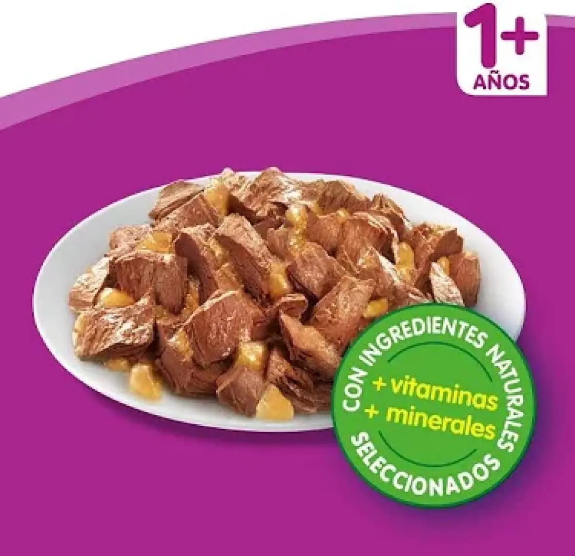 Whiskas Pouch Güveç Klasik Seçenekler Kedi Yaş Maması 4 Adet x 85 Gr