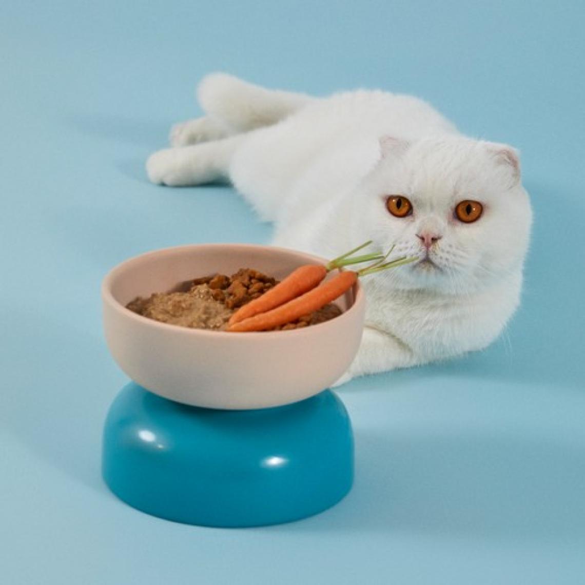 Fresh Ton Balıklı Kedi Yemeği 85 gr