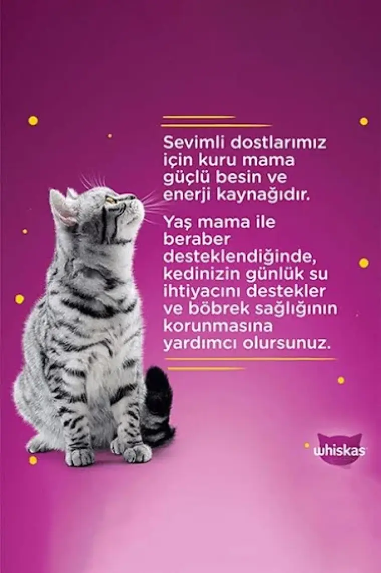 Whiskas Pouch Yavru Kümes Hayvanlı Yaş Kedi Maması 85 Gr x 24 Adet