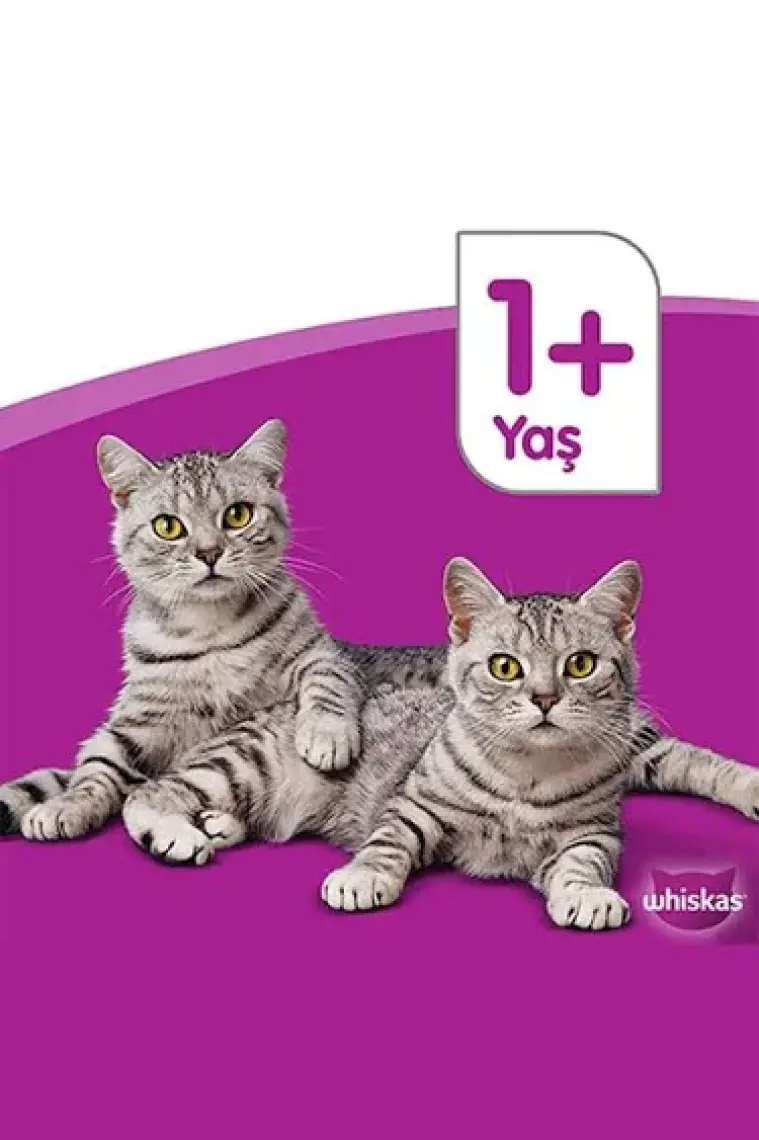 Whiskas Pouch Yavru Kümes Hayvanlı Yaş Kedi Maması 85 Gr x 24 Adet