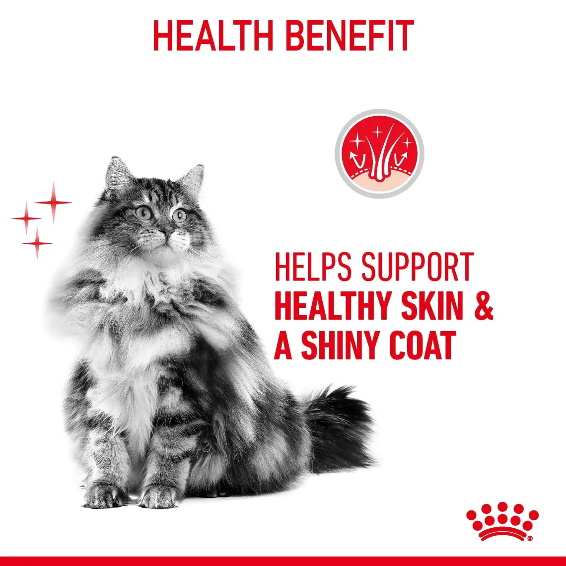 Royal Canin® Hair & Skin Care Yetişkin Kedi Yaş Maması 85 Gr *12