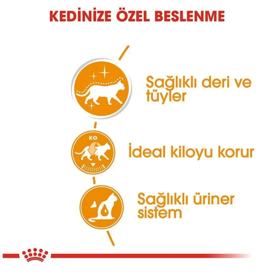 Royal Canin® Hair & Skin Care Yetişkin Kedi Yaş Maması 85 Gr *12
