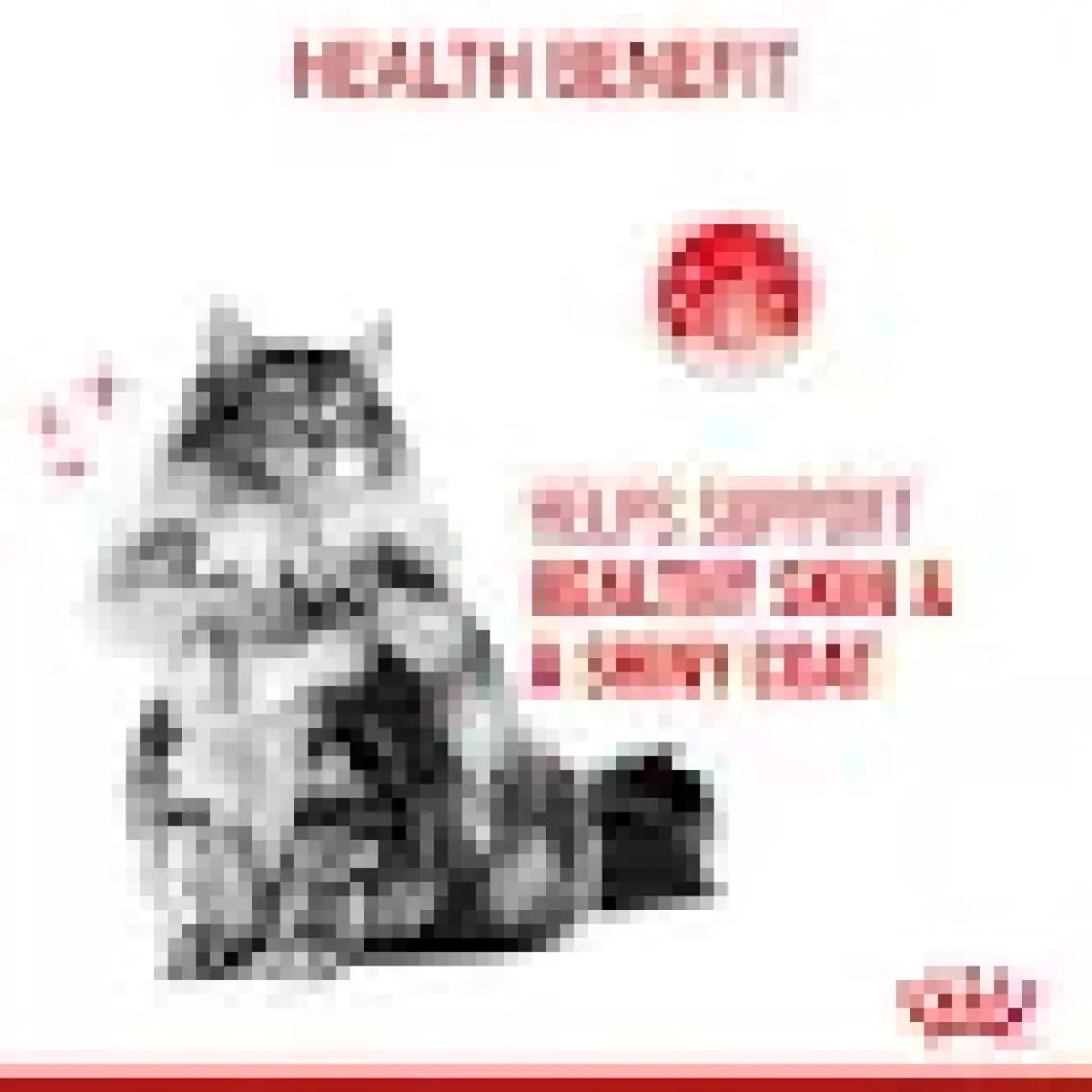 Royal Canin® Hair & Skin Care Yetişkin Kedi Yaş Maması 85 Gr *12