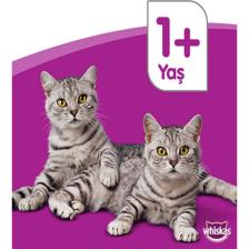 Tastymix Kuzu Etli Ve Hindi Etli Yaş Mama 28 X 85 gr