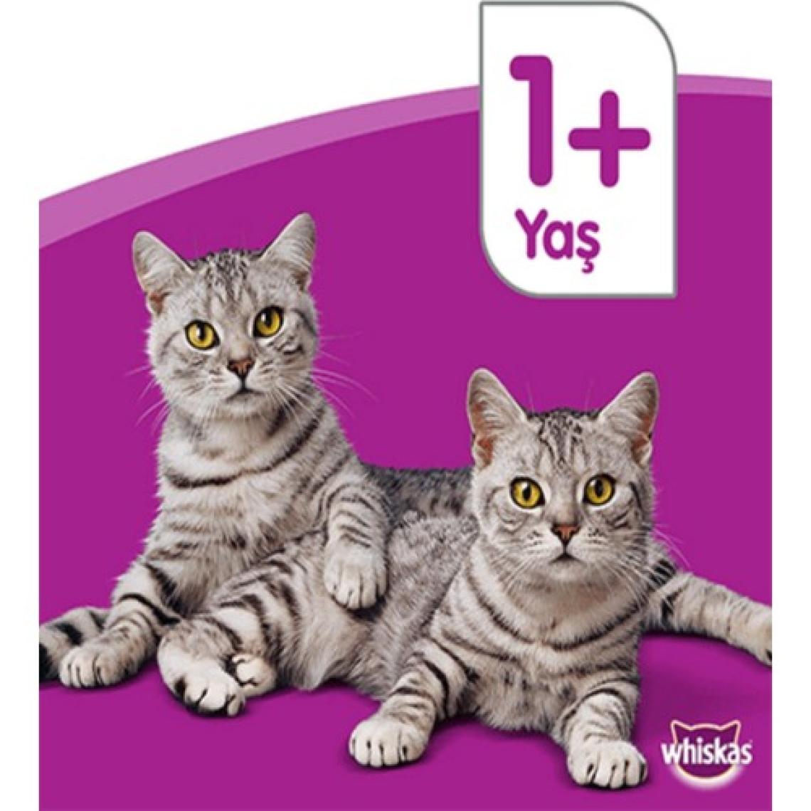 Tastymix Kuzu Etli Ve Hindi Etli Yaş Mama 28 X 85 gr