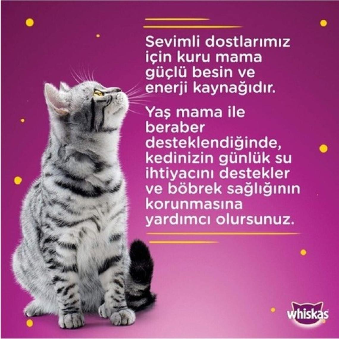 Tastymix Kuzu Etli Ve Hindi Etli Yaş Mama 28 X 85 gr