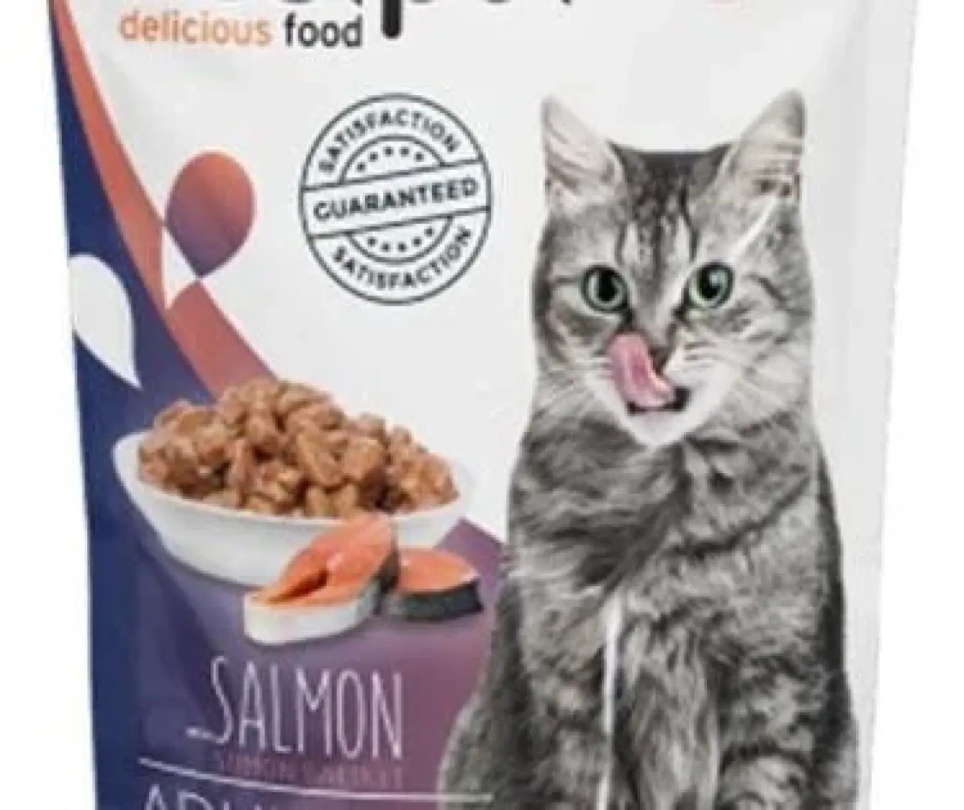 Bestpet Adult Jelly Somonlu Kedi Pouch Mama 85 gr