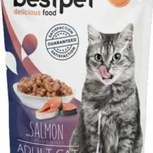 Bestpet Adult Jelly Somonlu Kedi Pouch Mama 85 gr