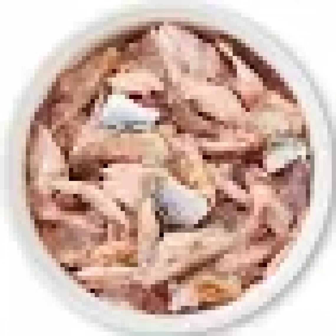 Schesir Cat Jelly Ton Ve Ringa Balıklı Kedi Konservesi 85 Gr