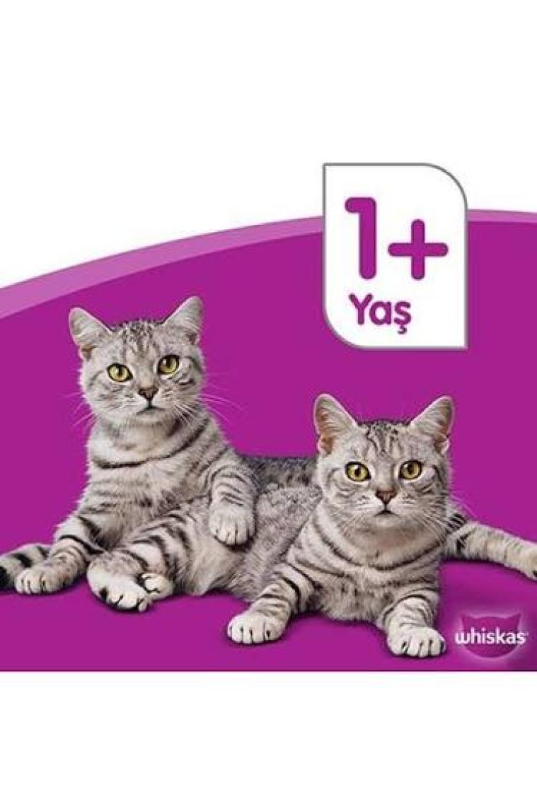 Whiskas Pouch Jöle Içinde Kuzulu Yetişkin Kedi Konservesi 28X85 gr